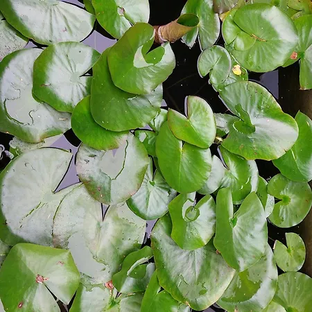 Hébergement de vacances Retro Near Rebild Hills