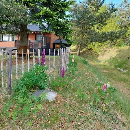 Retro Near Rebild Hills *