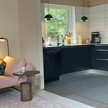 Retro Near Rebild Hills Hadsund