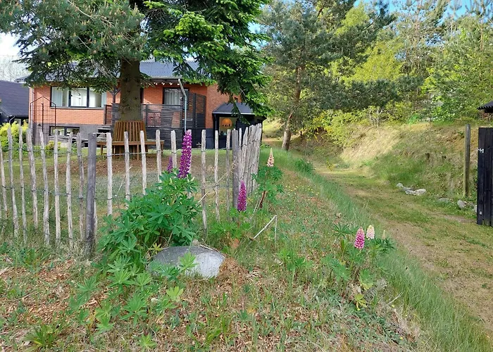 Retro Near Rebild Hills *