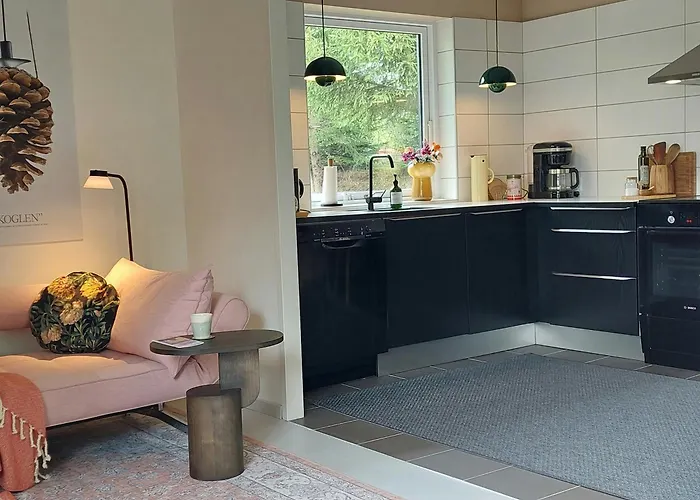 Retro Near Rebild Hills Hadsund